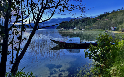 Cuando el agua enferma: la agonía de la Laguna de La Cocha
