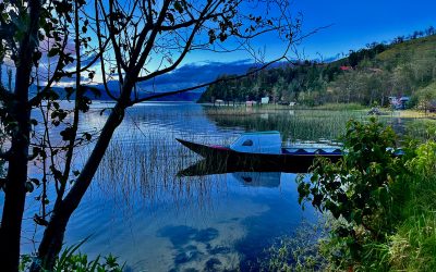 Cuando el agua enferma: la agonía de la Laguna de La Cocha